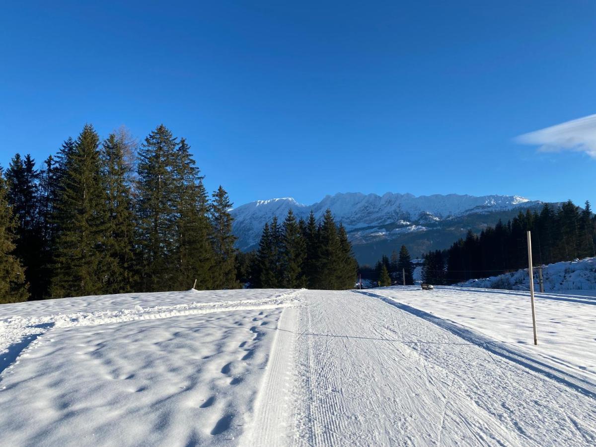 Obersdorfer Hof Guest House Bad Mitterndorf Luaran gambar